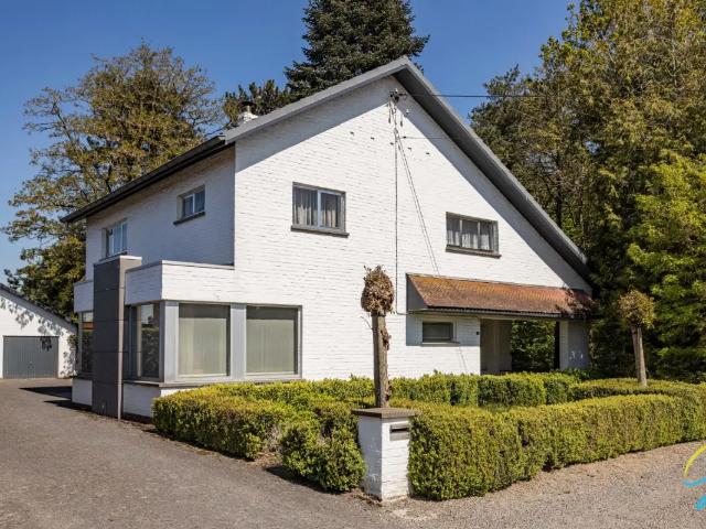 Maison vente à Berlare, Oost-Vlaanderen