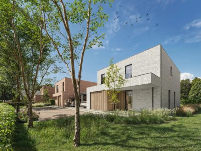 Maison vente à Melsele, Oost-Vlaanderen