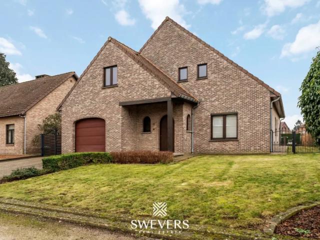 Maison vente à Beringen, Limburg