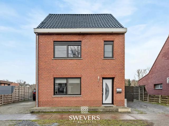 Maison vente à Beringen, Limburg