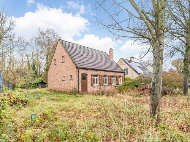 Maison vente à Bierbeek, Brabant