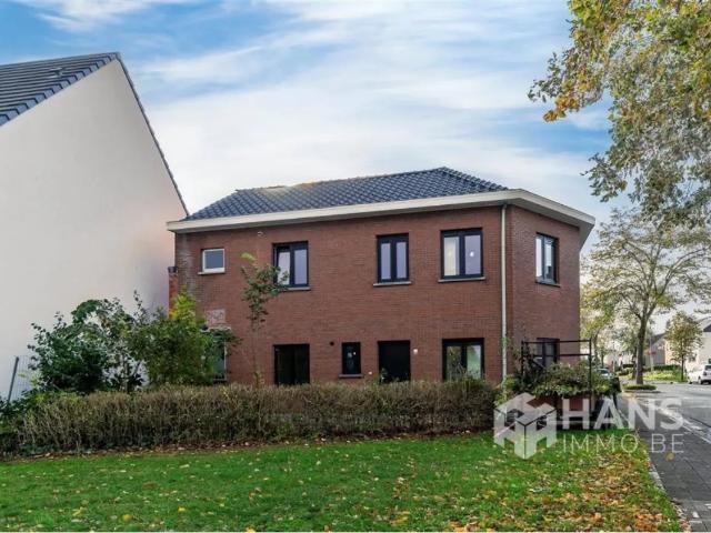 Maison vente à Bornem