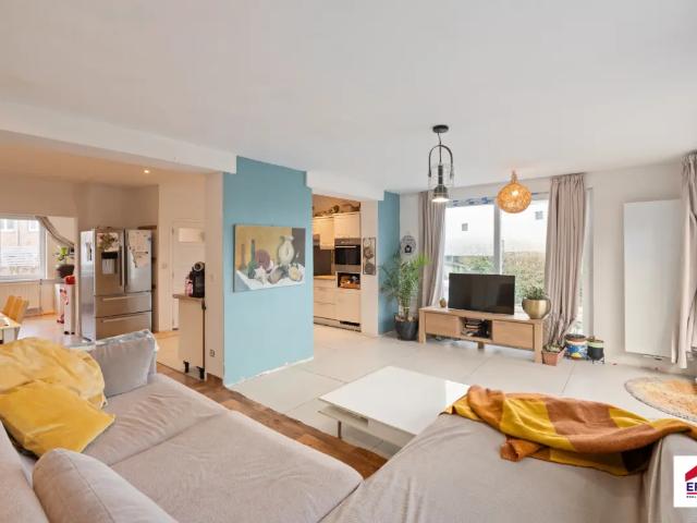 Maison vente à Halle, Brabant