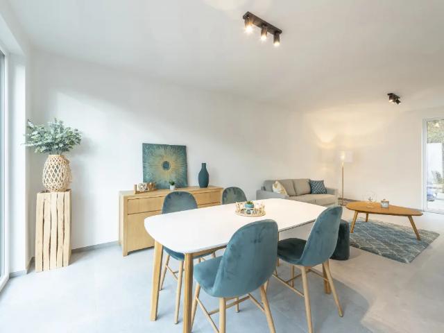 Maison vente à Saint-leger, Wallonie