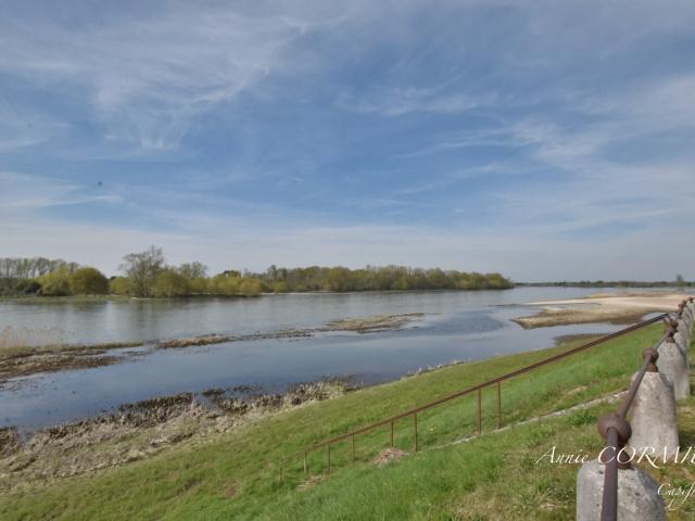 Maison vente à Saint-Benoît-sur-Loire, Loiret