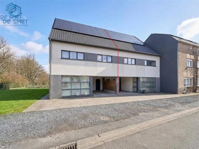 Maison vente à Deftinge, Oost-Vlaanderen