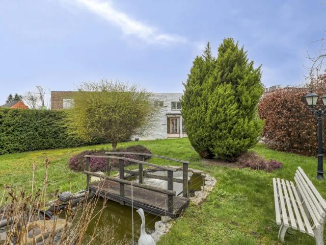 Maison vente à Denderleeuw, Oost-Vlaanderen