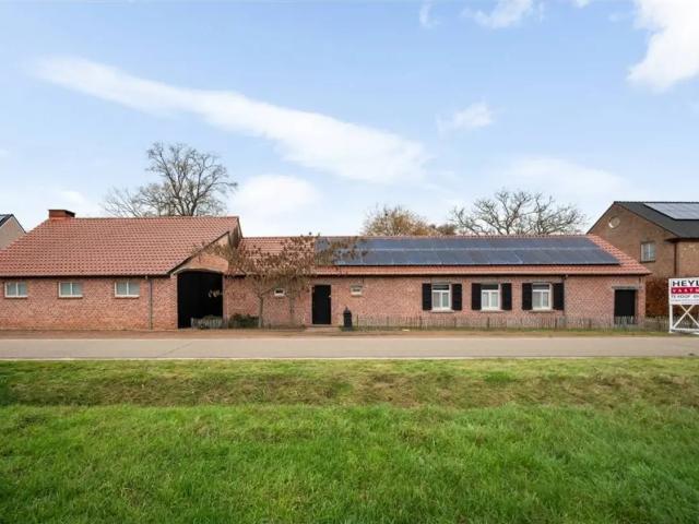 Maison vente à Diest, Brabant