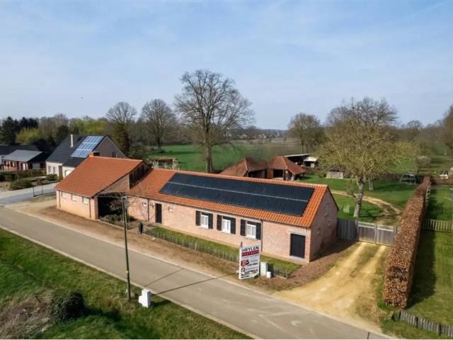Maison vente à Diest, Brabant