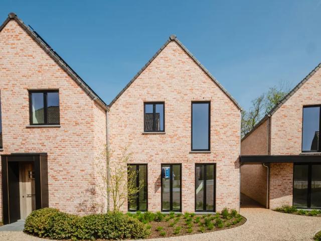 Maison vente à Dikkelvenne, Oost-Vlaanderen
