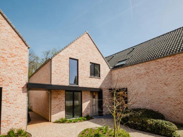 Maison vente à Dikkelvenne, Oost-Vlaanderen