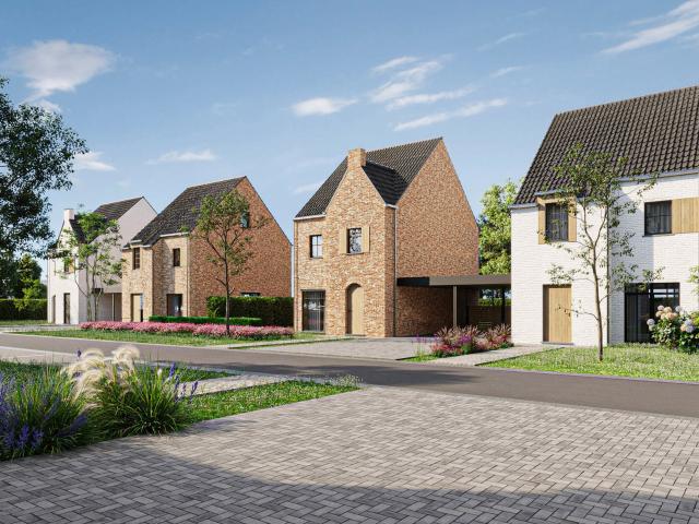 Maison vente à Maasmechelen, Limburg