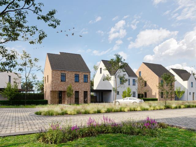 Maison vente à Maasmechelen, Limburg