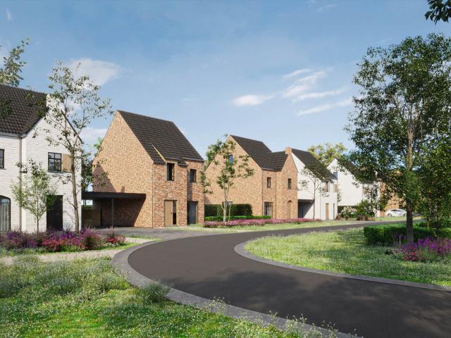 Maison vente à Maasmechelen, Limburg