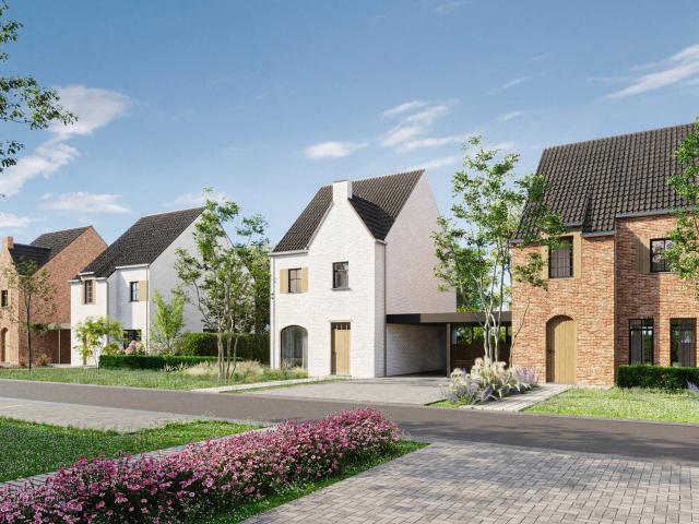 Maison vente à Maasmechelen, Limburg