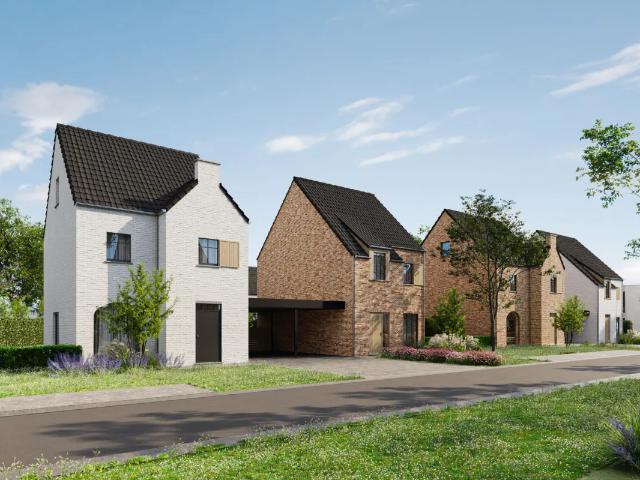 Maison vente à Maasmechelen, Limburg
