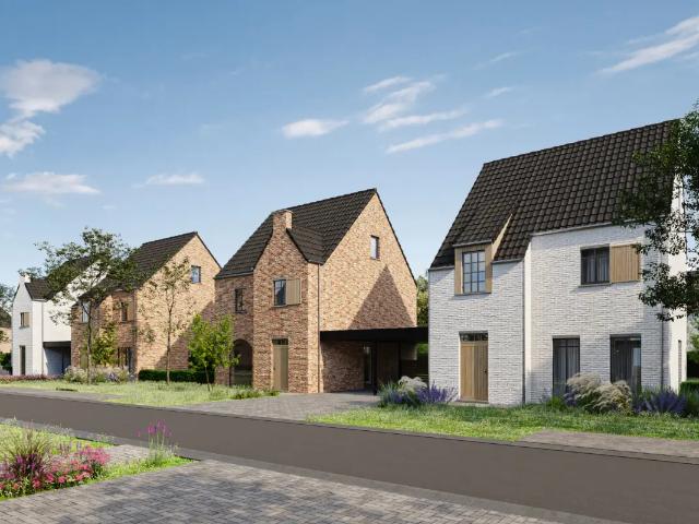 Maison vente à Maasmechelen, Limburg