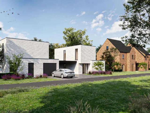 Maison vente à Maasmechelen, Limburg