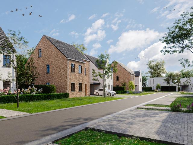 Maison vente à Maasmechelen, Limburg