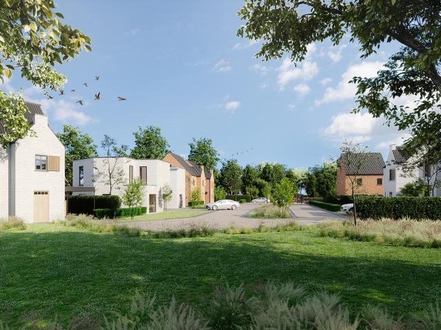 Maison vente à Maasmechelen, Limburg