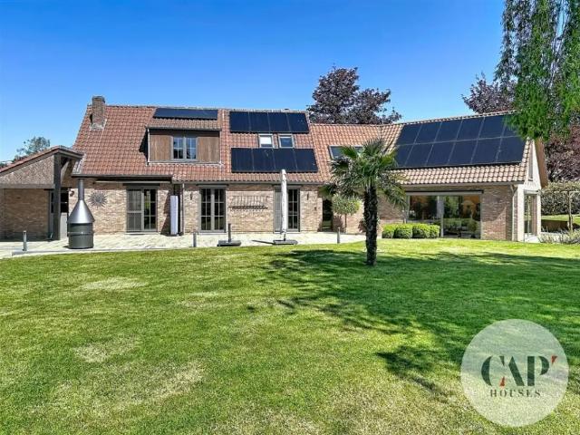 Maison vente à Geldenaken, Wallonie
