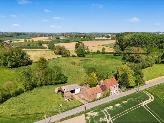 Maison vente à Galmaarden, Brabant