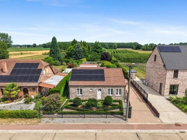 Maison vente à Geet Betz, Brabant