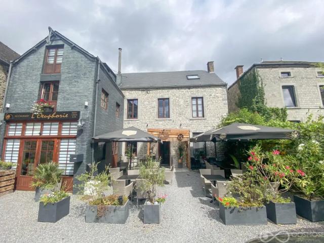 Maison vente à Doische, Wallonie