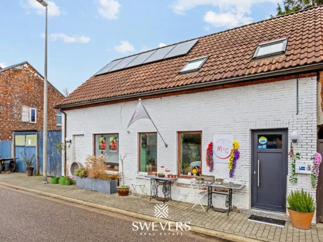 Maison vente à Gingelom, Limburg