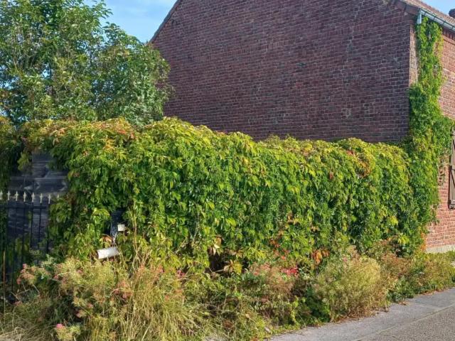 Maison vente à Givry, Hainaut