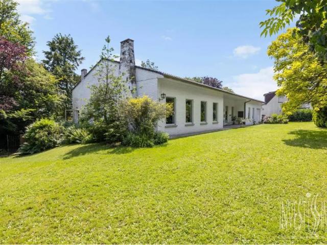 Maison vente à Grammont, Oost-Vlaanderen