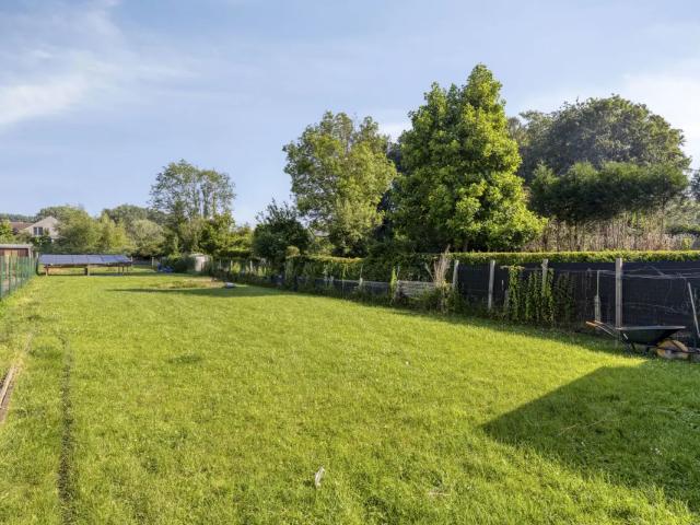 Maison vente à Grammont, Oost-Vlaanderen