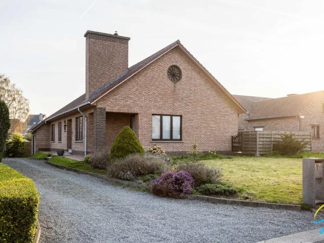 Maison vente à Grammont, Oost-Vlaanderen