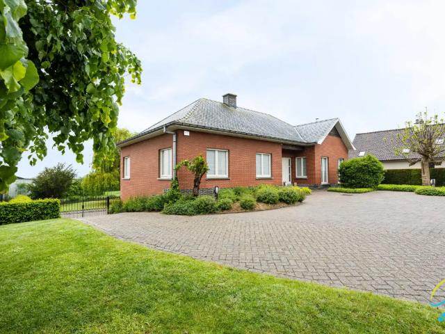Maison vente à Grammont, Oost-Vlaanderen