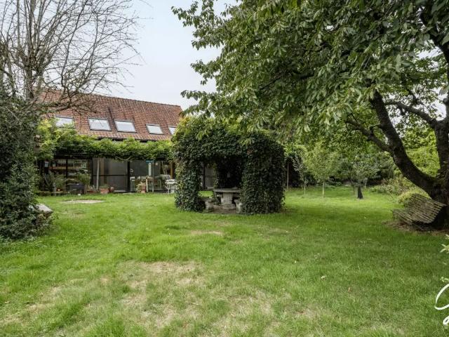 Maison vente à Grammont, Oost-Vlaanderen
