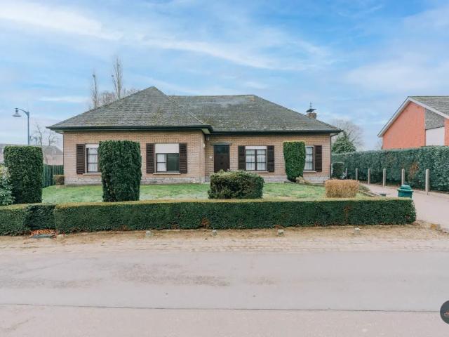 Maison vente à Haacht, Brabant