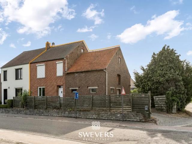 Maison vente à Haelen, Limburg