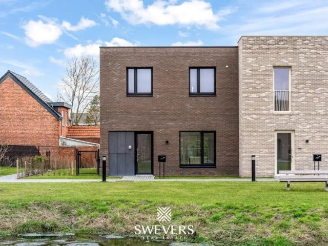 Maison vente à Hasselt, Limburg