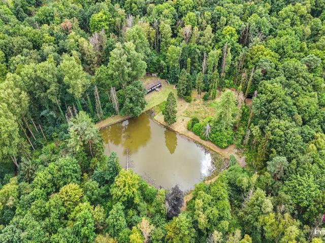 Maison vente à Hasselt, Limburg