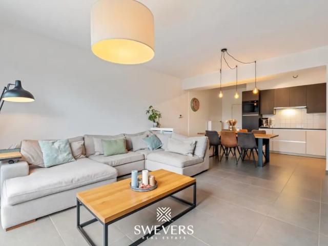 Maison vente à Bourg-léopold, Limburg