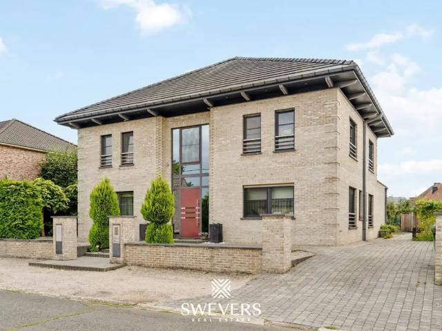 Maison vente à Bourg-léopold, Limburg