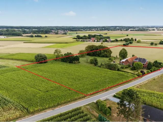 Maison vente à Herfelingen, Pajottegem