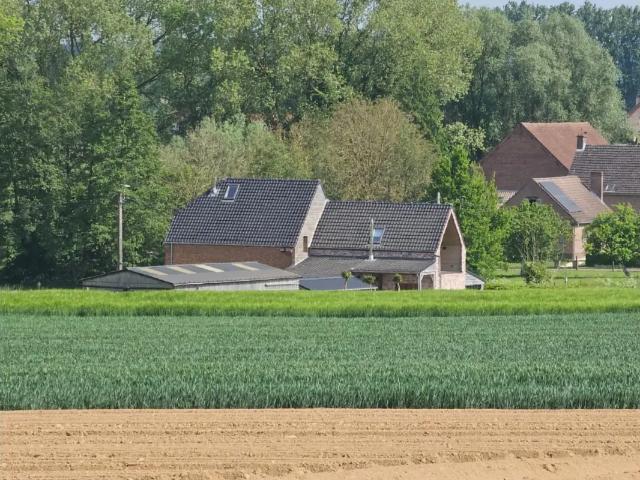 Maison vente à Herinnes, Brabant