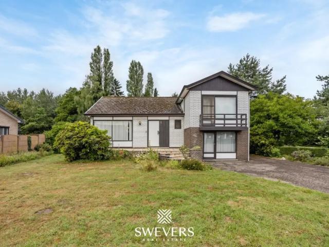 Maison vente à Heusden-zolder, Limburg