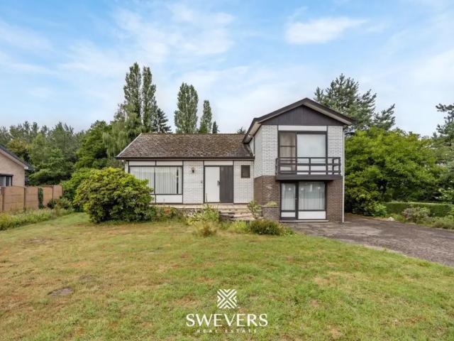 Maison vente à Heusden-zolder, Limburg