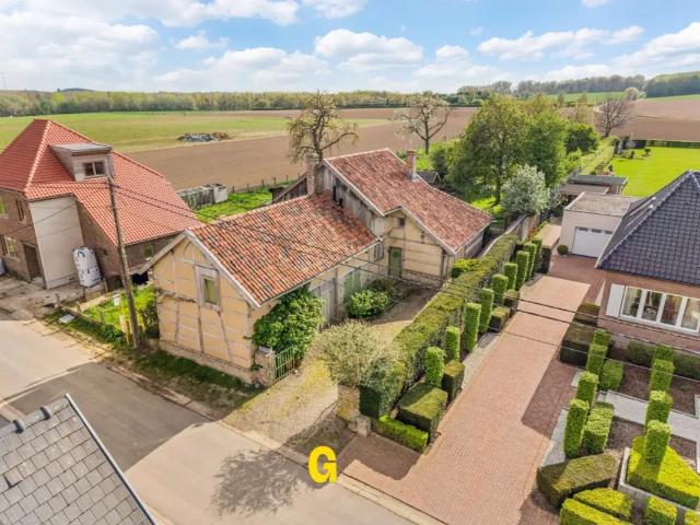 Maison vente à Hoeselt, Limburg