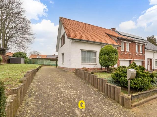 Maison vente à Hoeselt, Limburg