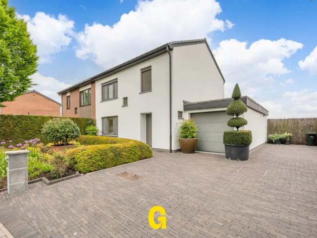 Maison vente à Hoeselt, Limburg