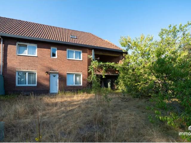 Maison vente à Houthalen-helchteren, Limburg