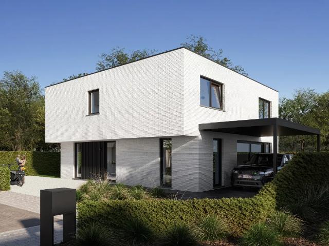 Maison vente à Jabbeke, West-Vlaanderen